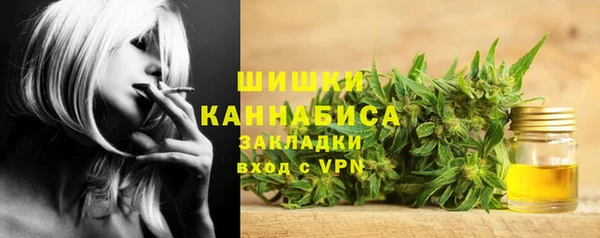 хмурый Дмитриев