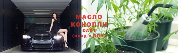 хмурый Дмитриев