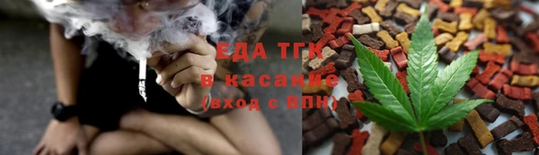 хмурый Дмитриев