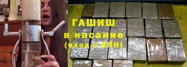 сатива Ельня