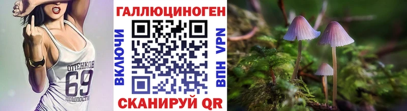 купить   blacksprut ссылки  Галлюциногенные грибы MAGIC MUSHROOMS  Моршанск 